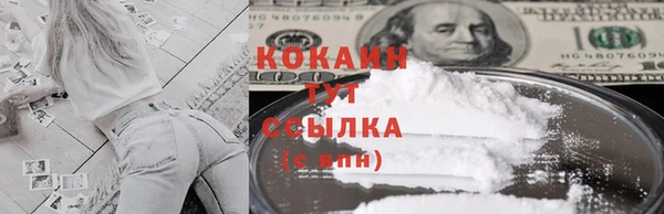 эйфоретик Богданович