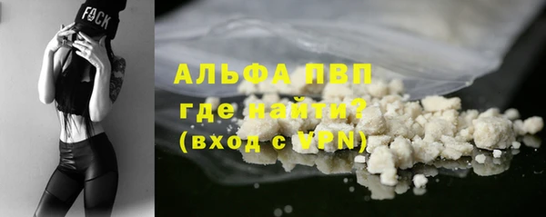 эйфоретик Богданович
