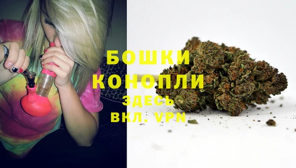 кокс Богородицк