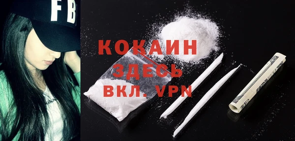 эйфоретик Богданович