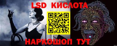 крисы Берёзовский