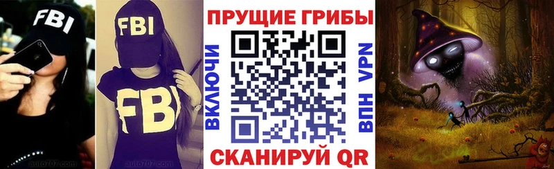 Псилоцибиновые грибы Cubensis  кракен онион  Вязники 