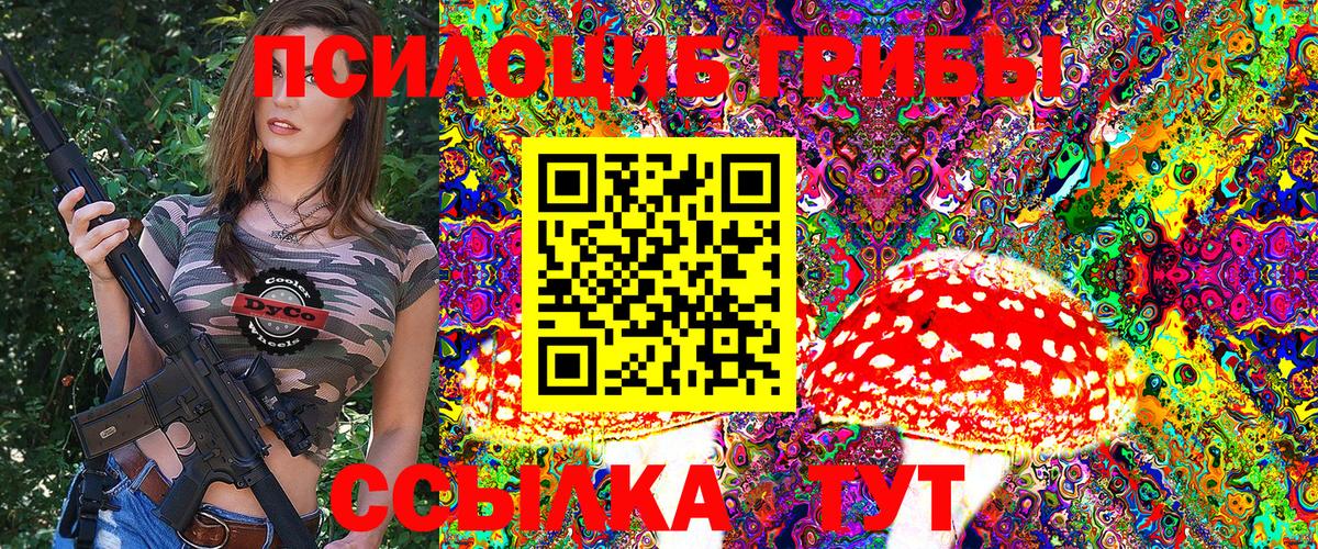 Псилоцибиновые грибы Cubensis Вязники