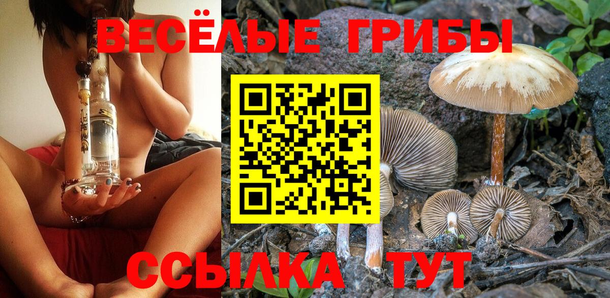 Галлюциногенные грибы ЛСД  Вязники  Псилоцибиновые грибы прущие грибы 