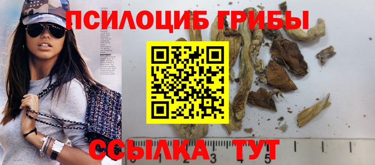 Псилоцибиновые грибы MAGIC MUSHROOMS  Вход с VPN  Вязники  Псилоцибиновые грибы Cubensis 
