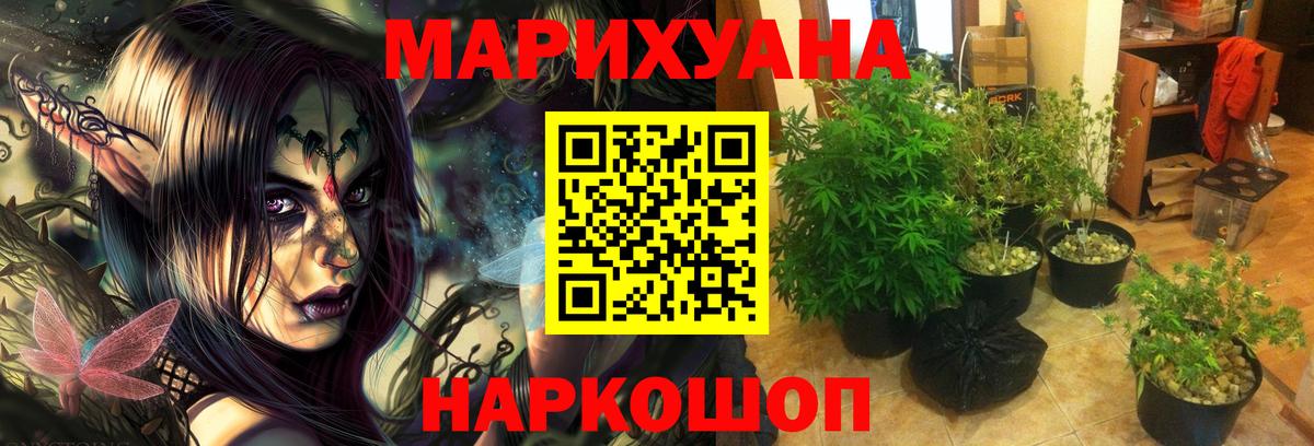 Конопля план Вязники